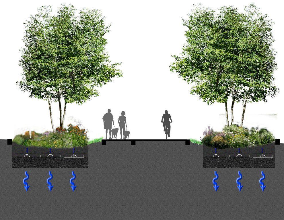 Streetscape section with trees and planters over buried chambers