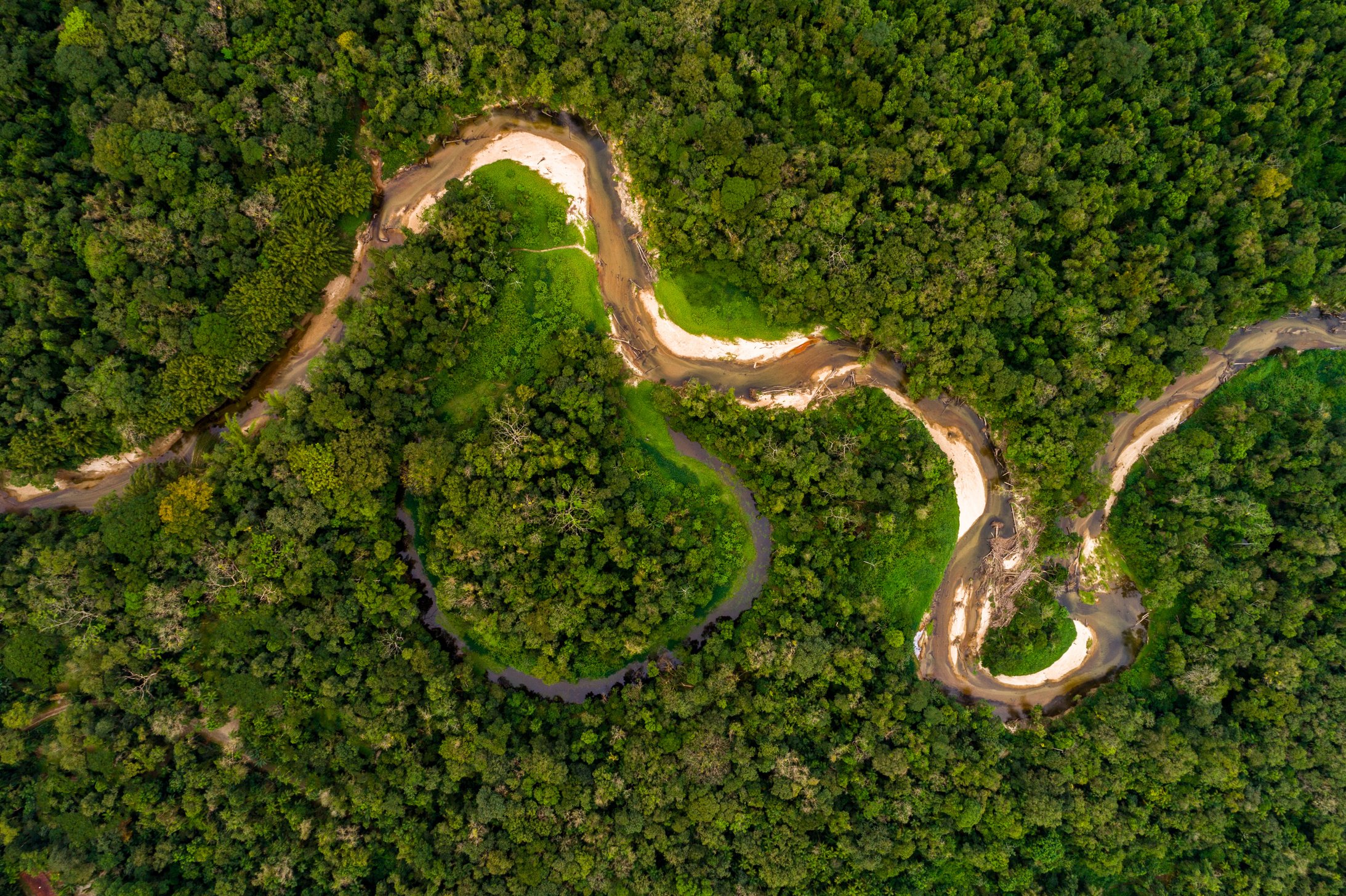 Aerial View of Amazon Rainforest, South America
